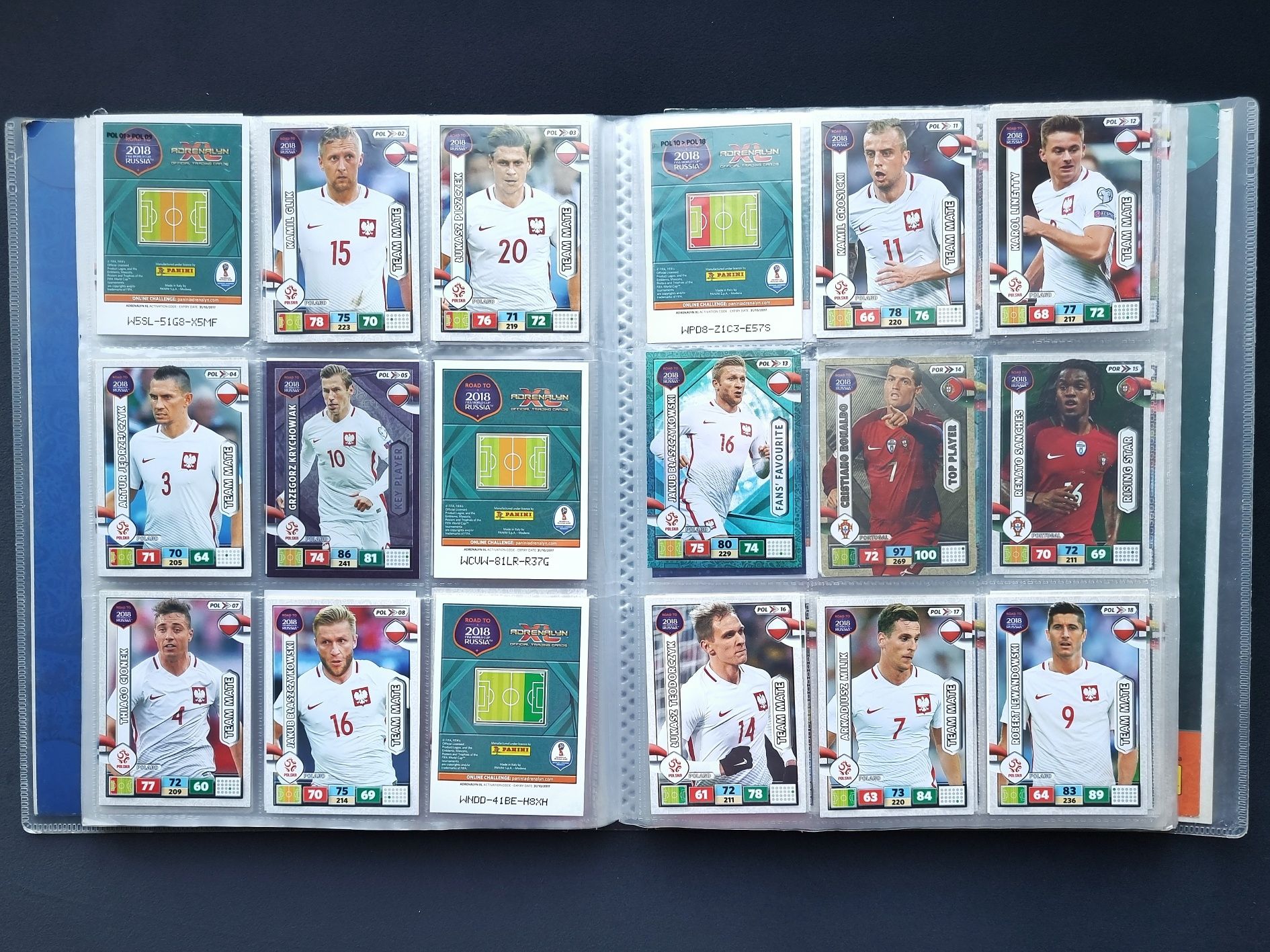 Album PANINI 2018 Fifa Worldcup Russia + 352 karty z 477