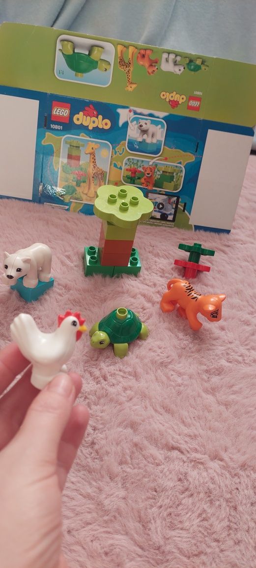 Klocki LEGO 10801 Duplo Zwierzątka tygrys żółw niedźwiedź polarny kura