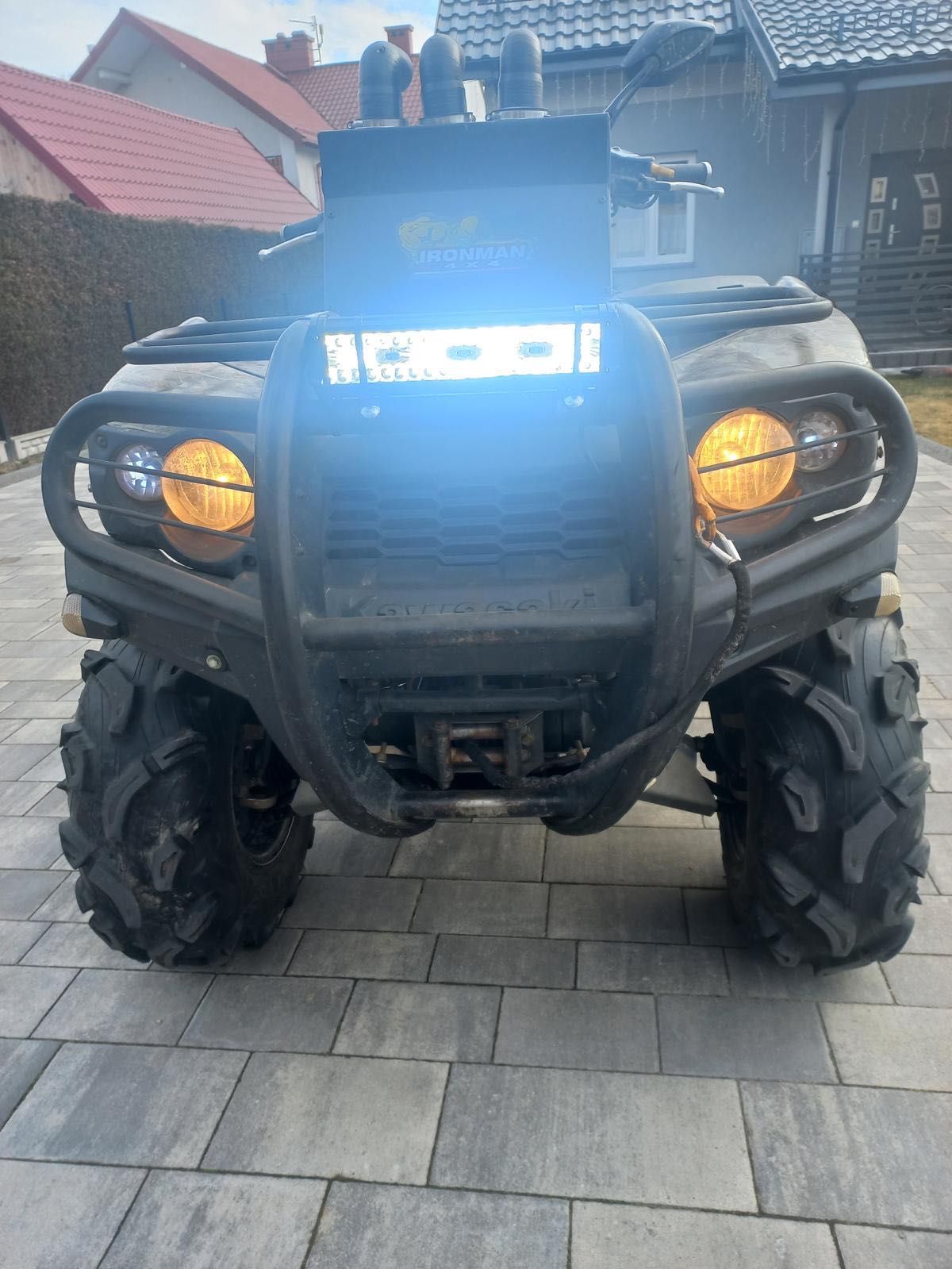 2009 Kawasaki  Brute Force