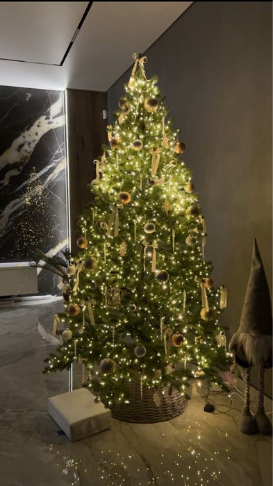 Лита ялинка зелена!