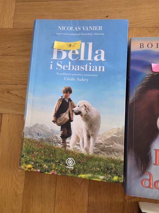 Książki młodzieżowe , Hobbit , baśnie, Biblia i inne