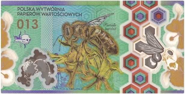 Druk banknot testowy PWPW Pszczoły polimerowy HH + kapsuła Leuchtturm