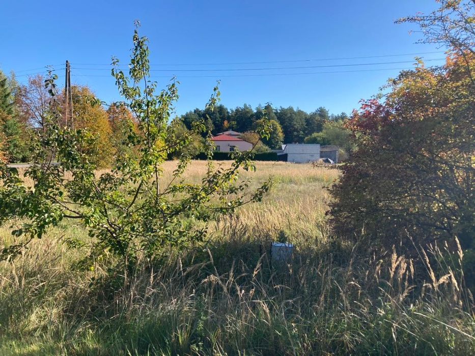 Działka 1,28 ha z częścią budowlaną i lasem • Rabinówka