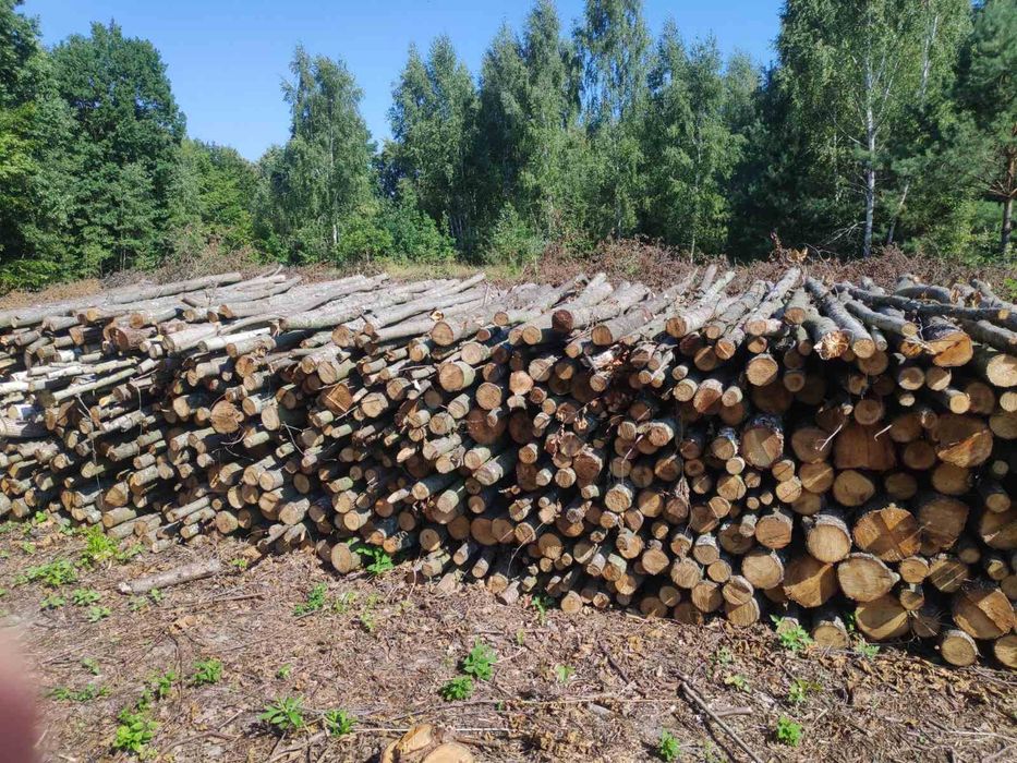 Уголь, дрова, торфобрикет  доставка