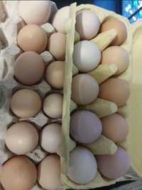 Яйця курячі 35 грн/10 шт