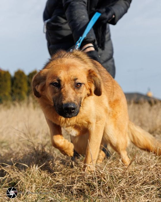 Pepsi szuka swojego Człowieka
