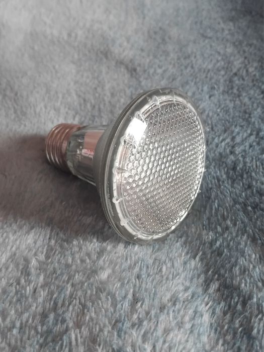 Dzienna żarówka halogenowa 50W 

do terrarium