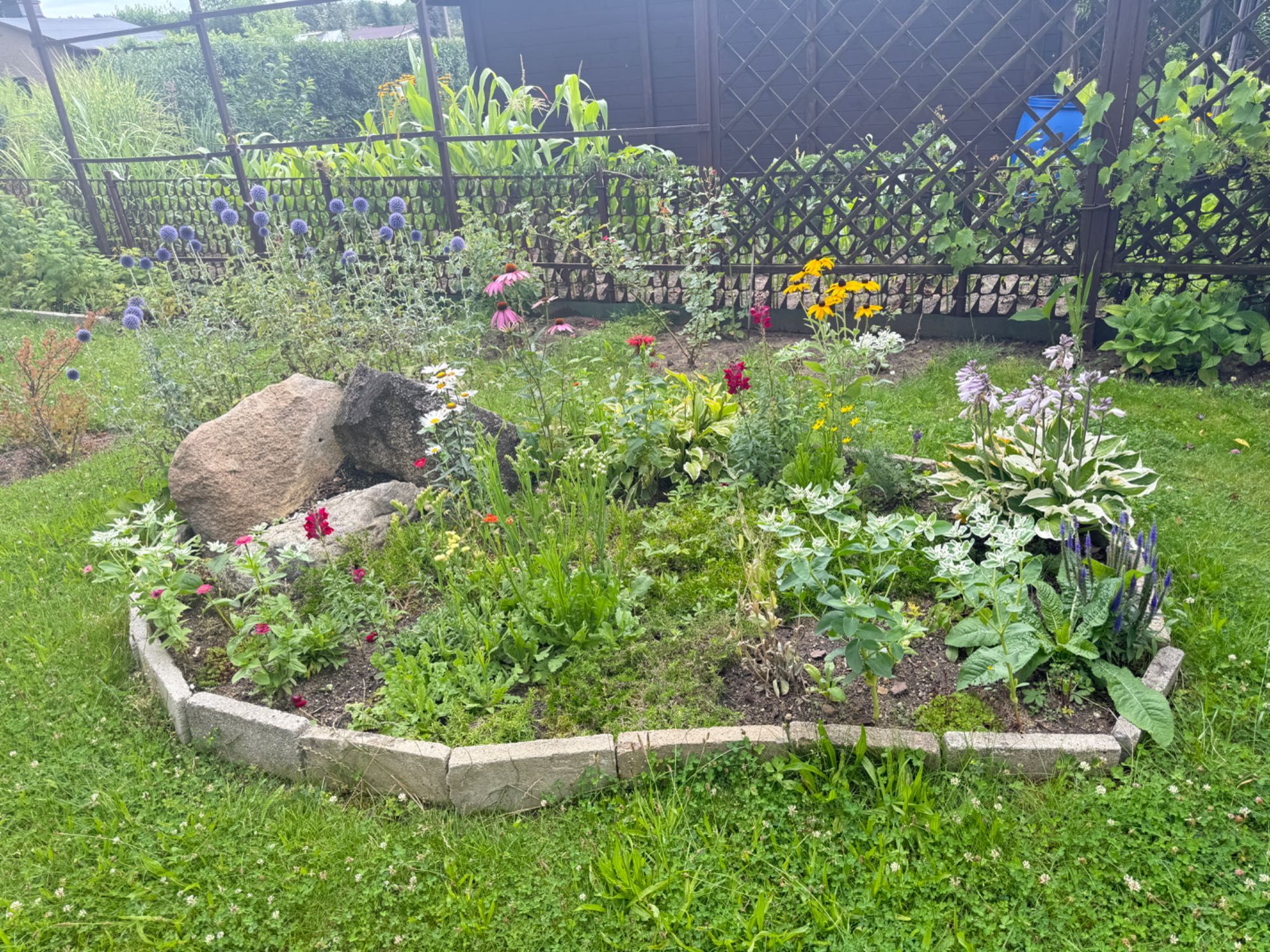 Piękna Działka ROD Jędrzychów „Grono”