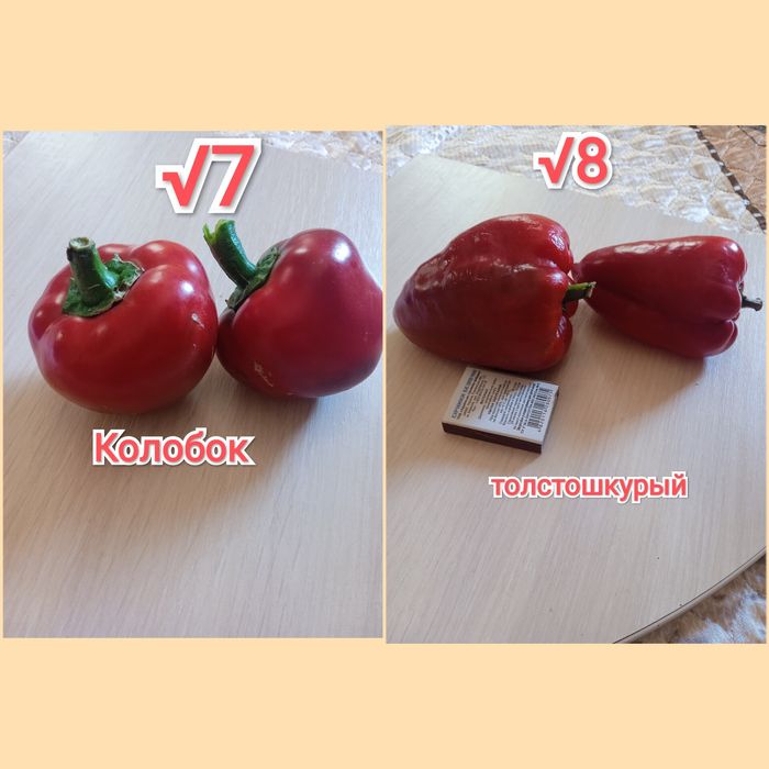 Семена помидор,перец,тыква,дыня,рукола