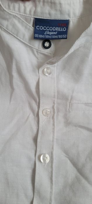 Koszula krótki rękaw Coccodrillo