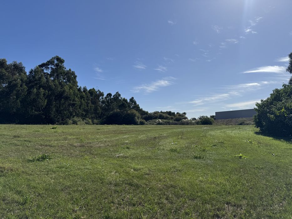 Alugo Terreno 8000m² em Lavra (Matosinhos) – Agricultura ou Animais