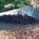 Calhas usadas para vindima