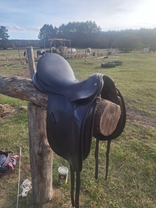 Siodło Windsor Elite 17