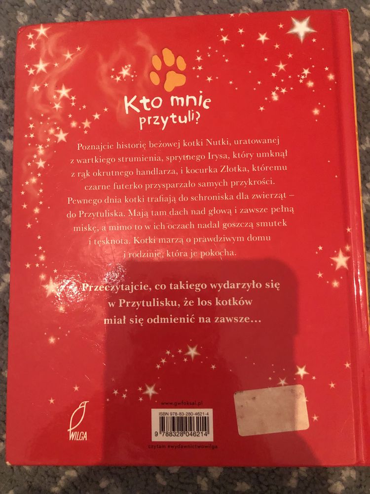 Książka Kto mnie przytuli Kotek na medal