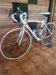 Rower szosowy SCOTT  CARBON  7.9 kg