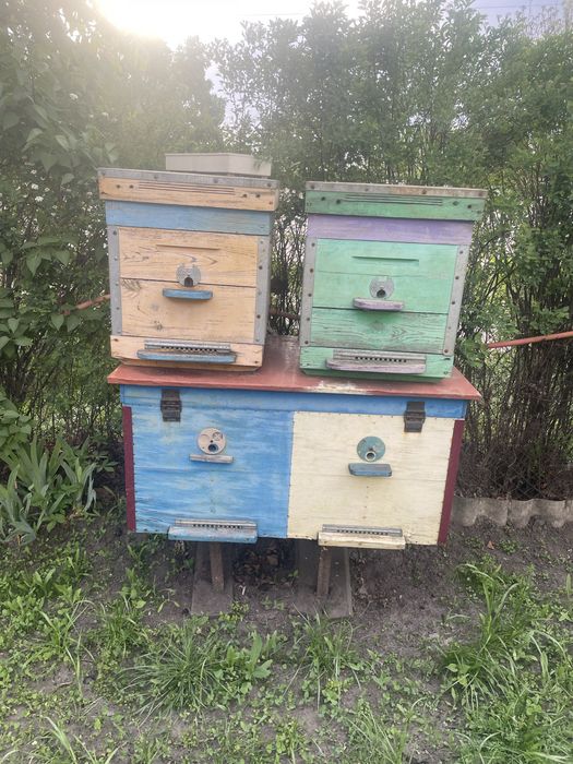 Вулик бджолиний рамка дадан