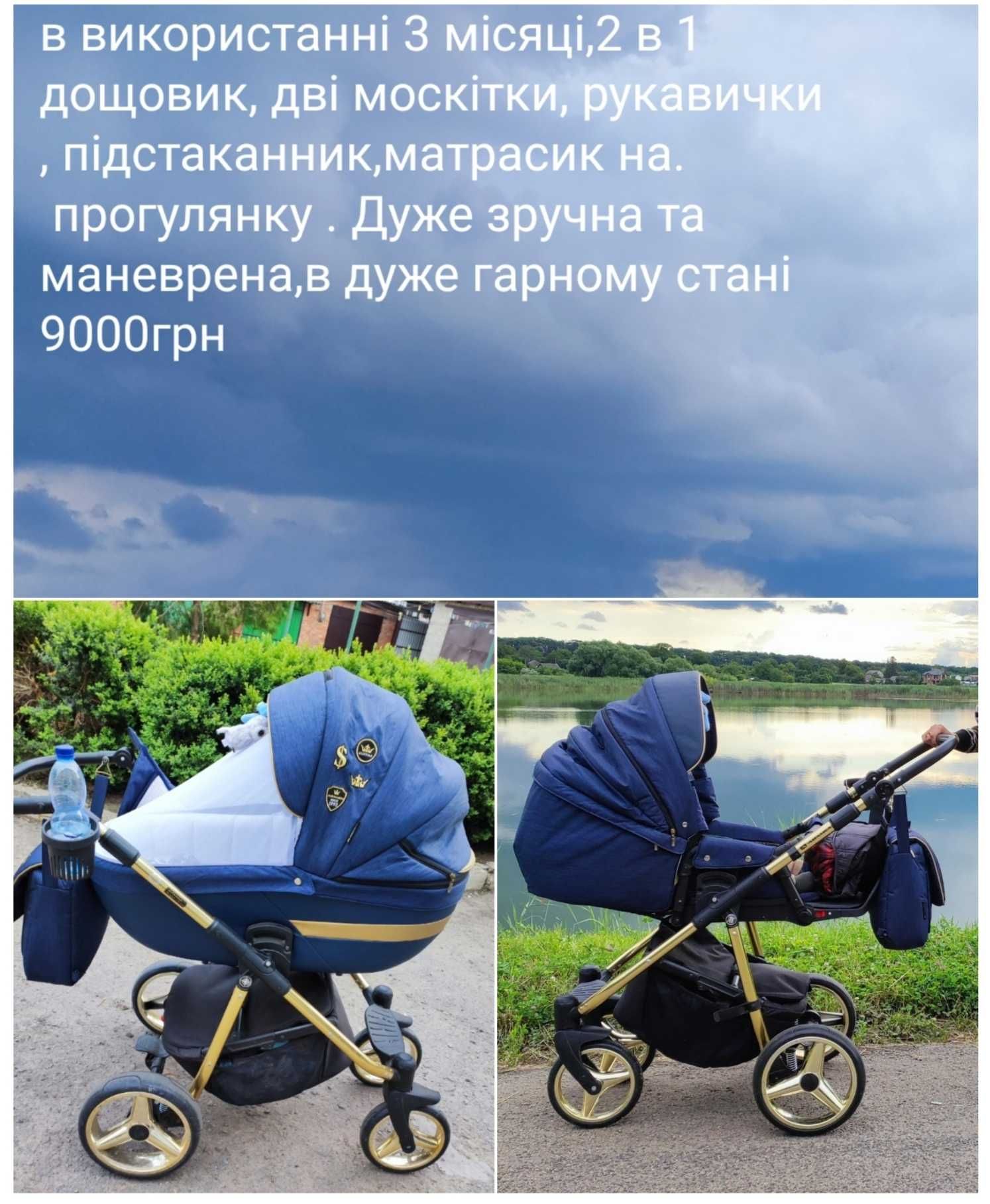 Коляска Adamex cortina