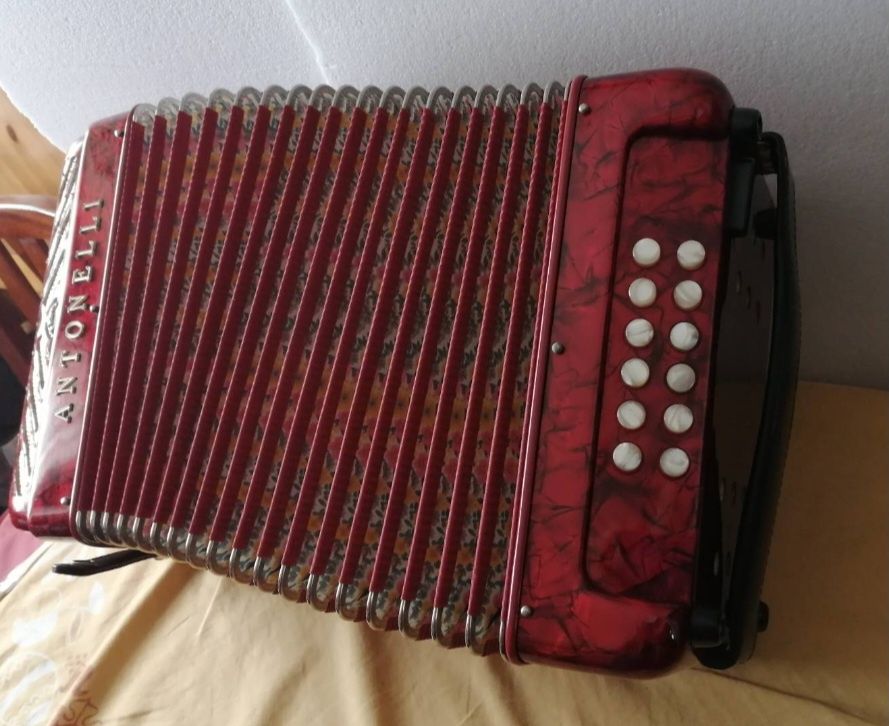 Concertina Antonelli como nova