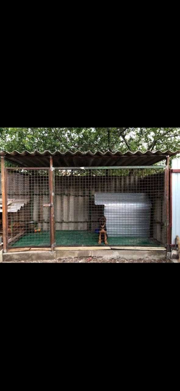 Продам пол дома с отдельным двором 9-Линия