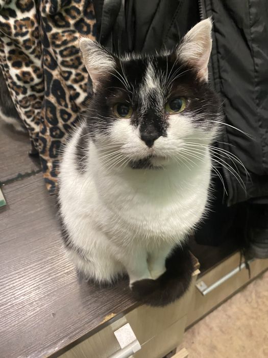 Ася в надійні ручки