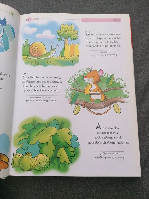 O meu livro de adivinhas à partir dos 5 anos