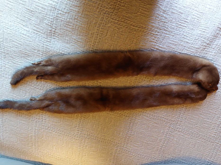 Estola de raposa muito bela