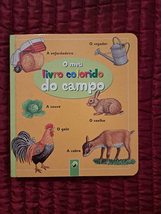 O meu livro colorido do campo - Dicionário infantil