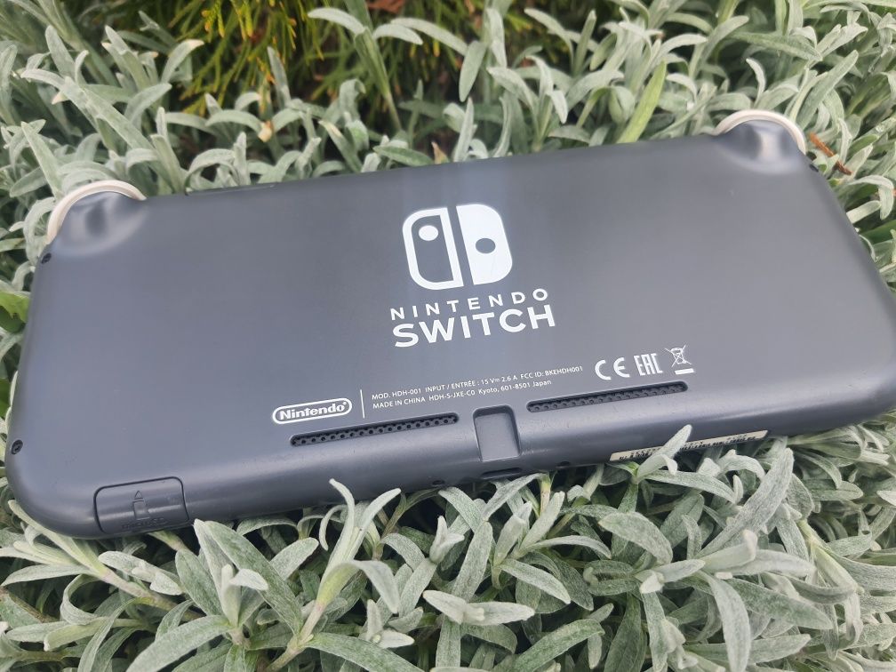 Nintendo switch lite
