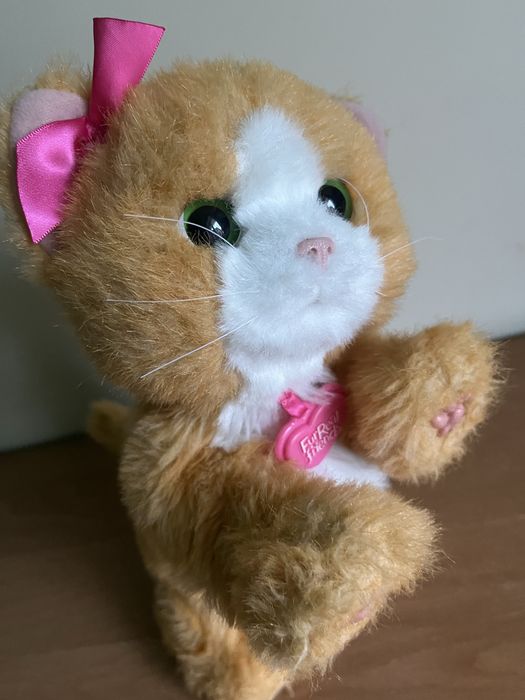 Кіт від ФурРіал Френдс