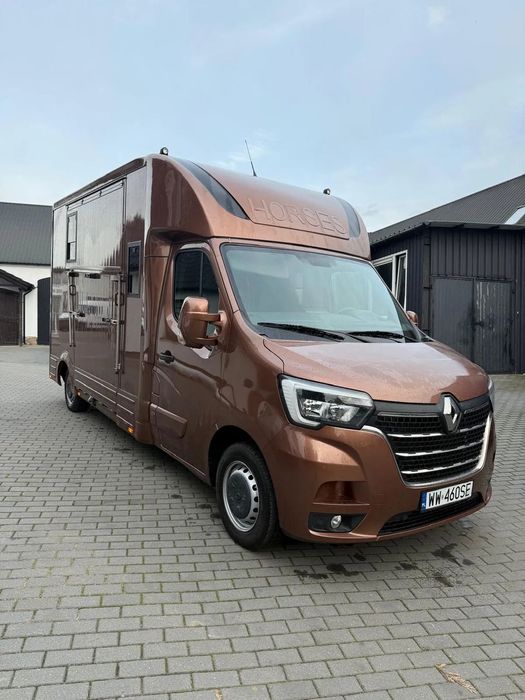 Renault Master  Koniowóz Nowa Zabudowa HST
