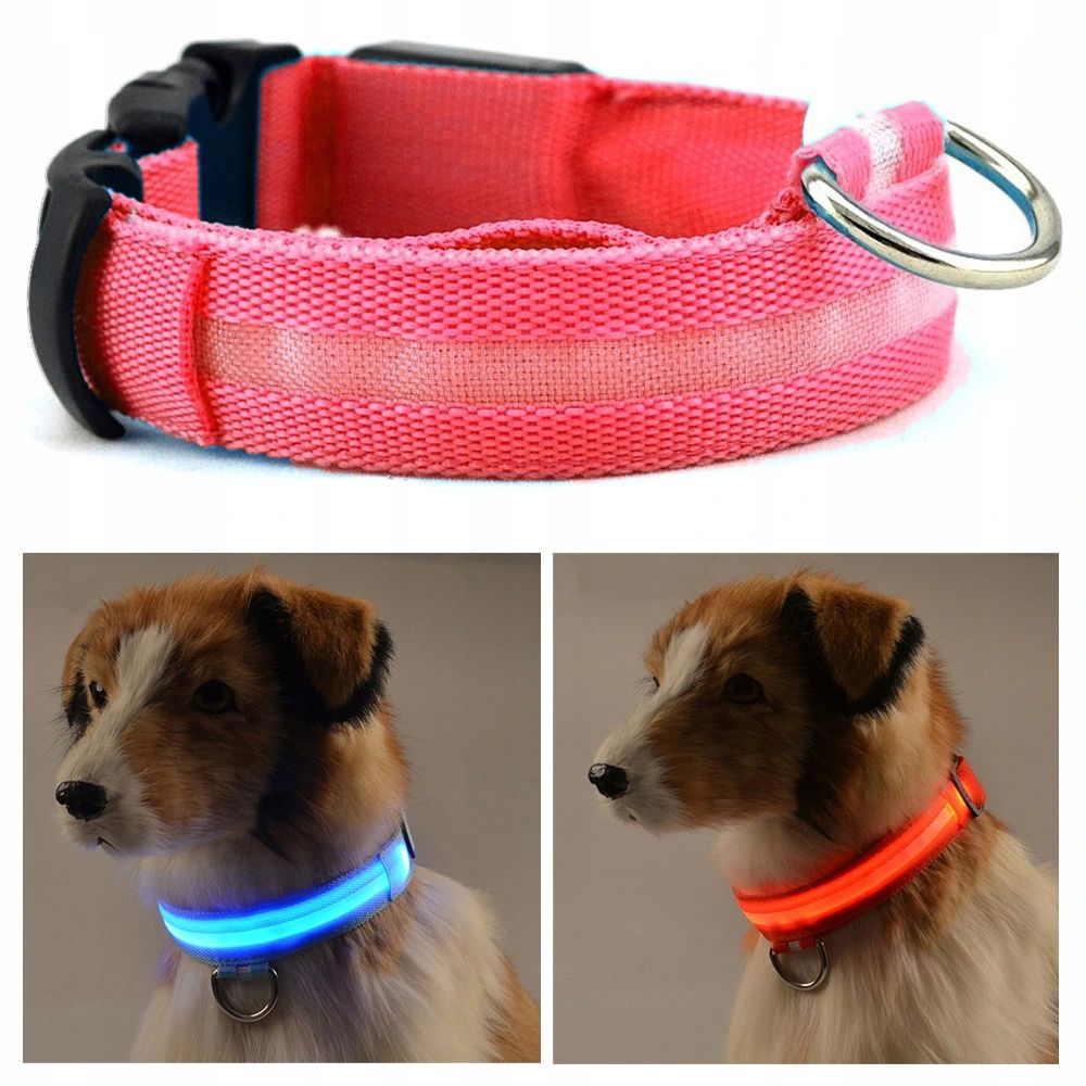 Obroża LED dla psa kota ŚWIECĄCA 3 fazy regulowana 39-44 cm rozmiar M