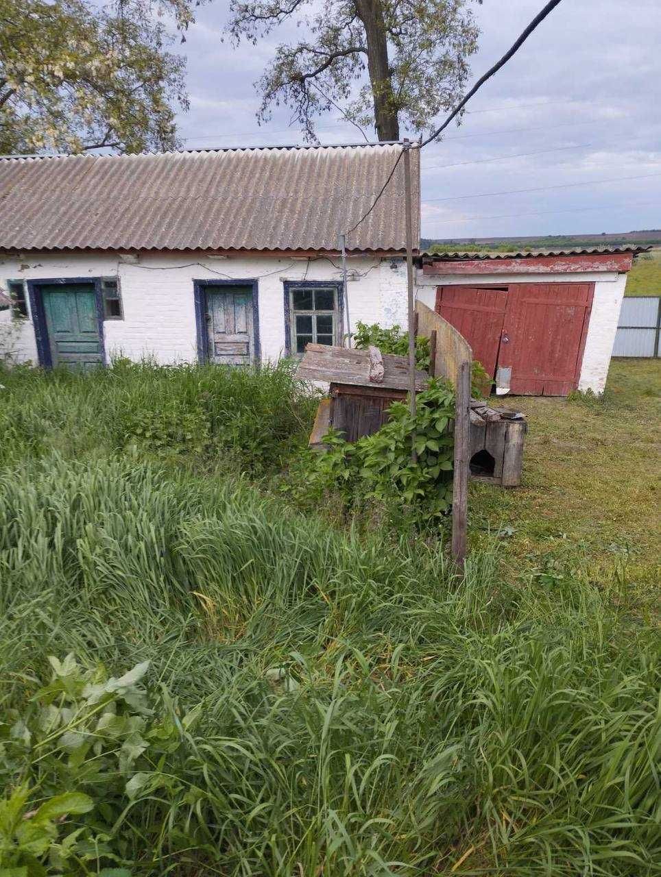 Продам будинок в Переяслав-Хмельницькому р-ні Київської обл. ТОРГ