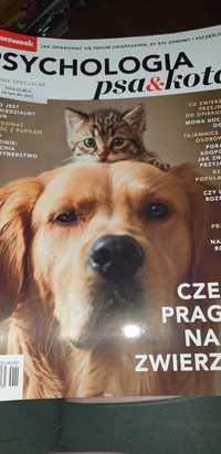 Psychologia psa i kota