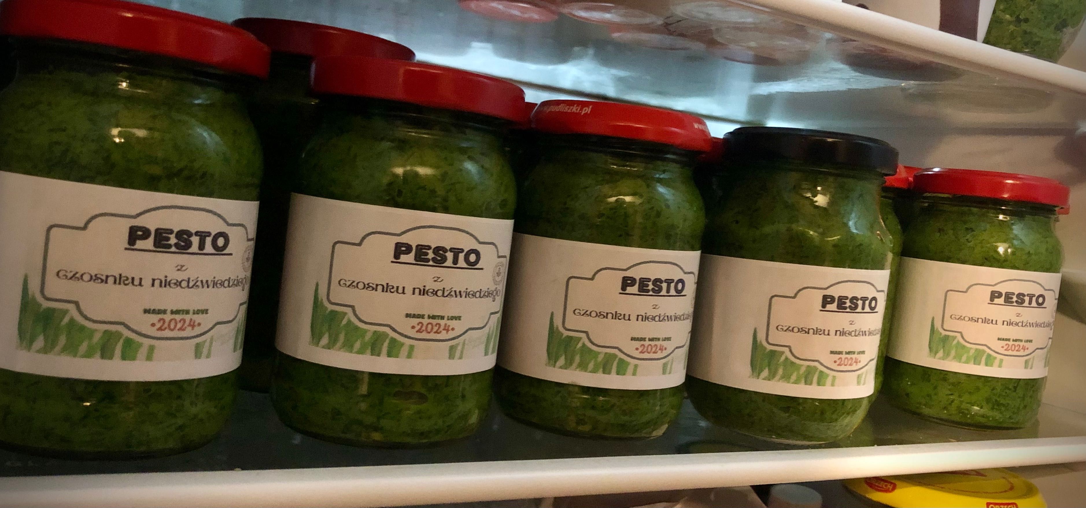 30 szt. Pesto z czosnku niedźwiedziego