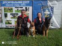 Дрессировка собак. Кинолог.