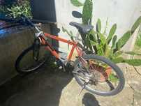Bicicleta  normal