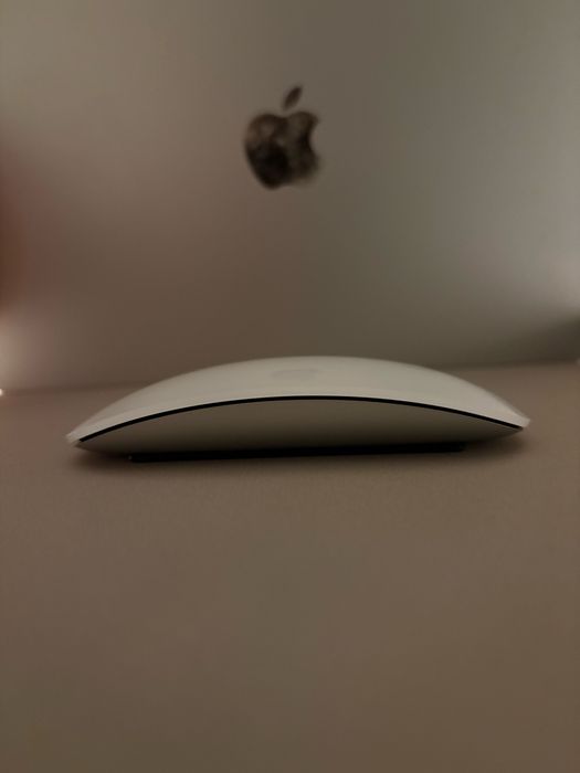 Magic Mouse(usb-c)