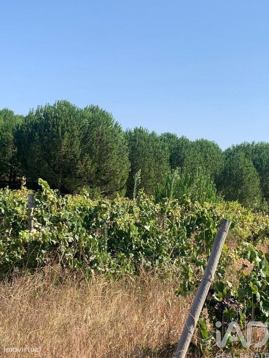 Terreno em Poceirão e Marateca de 1061,00 m2