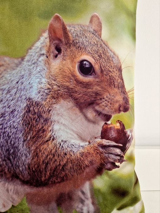 Home&you nowa poszewka jesienna 45x45 wiewiórka futrzany ogon