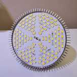 Żarówka do roślin led grow biała full spectrum 80w zeed