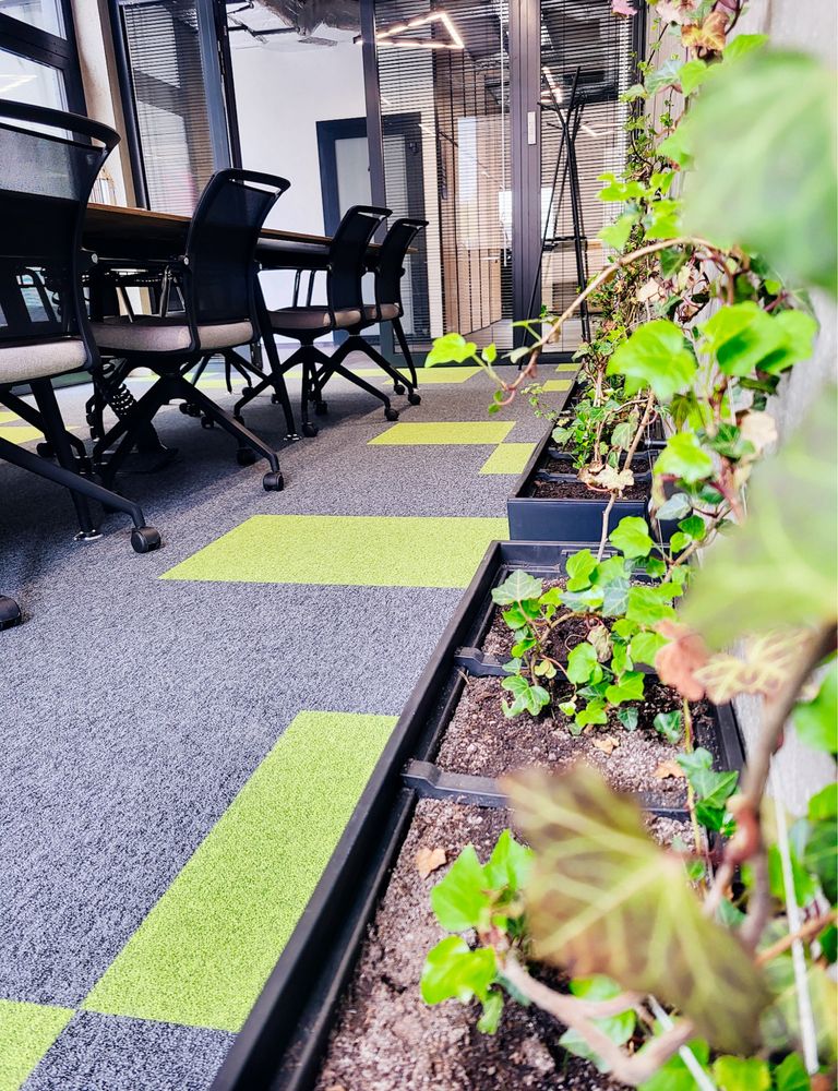 Wirtualne biura Roko Office Point