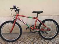 Vendo bicicleta de BTT para criança com jante 20.