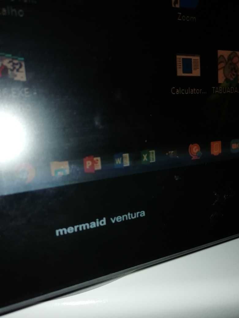 Monitor mermaid ventura 150AT