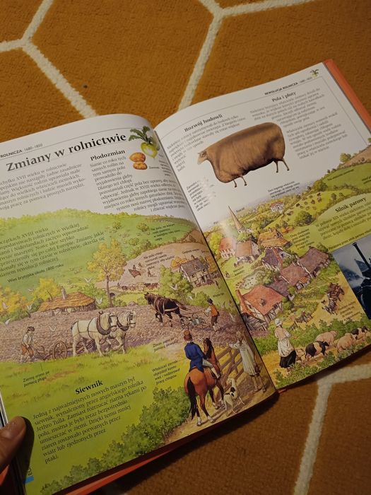 Historia świata czasy nowożytne