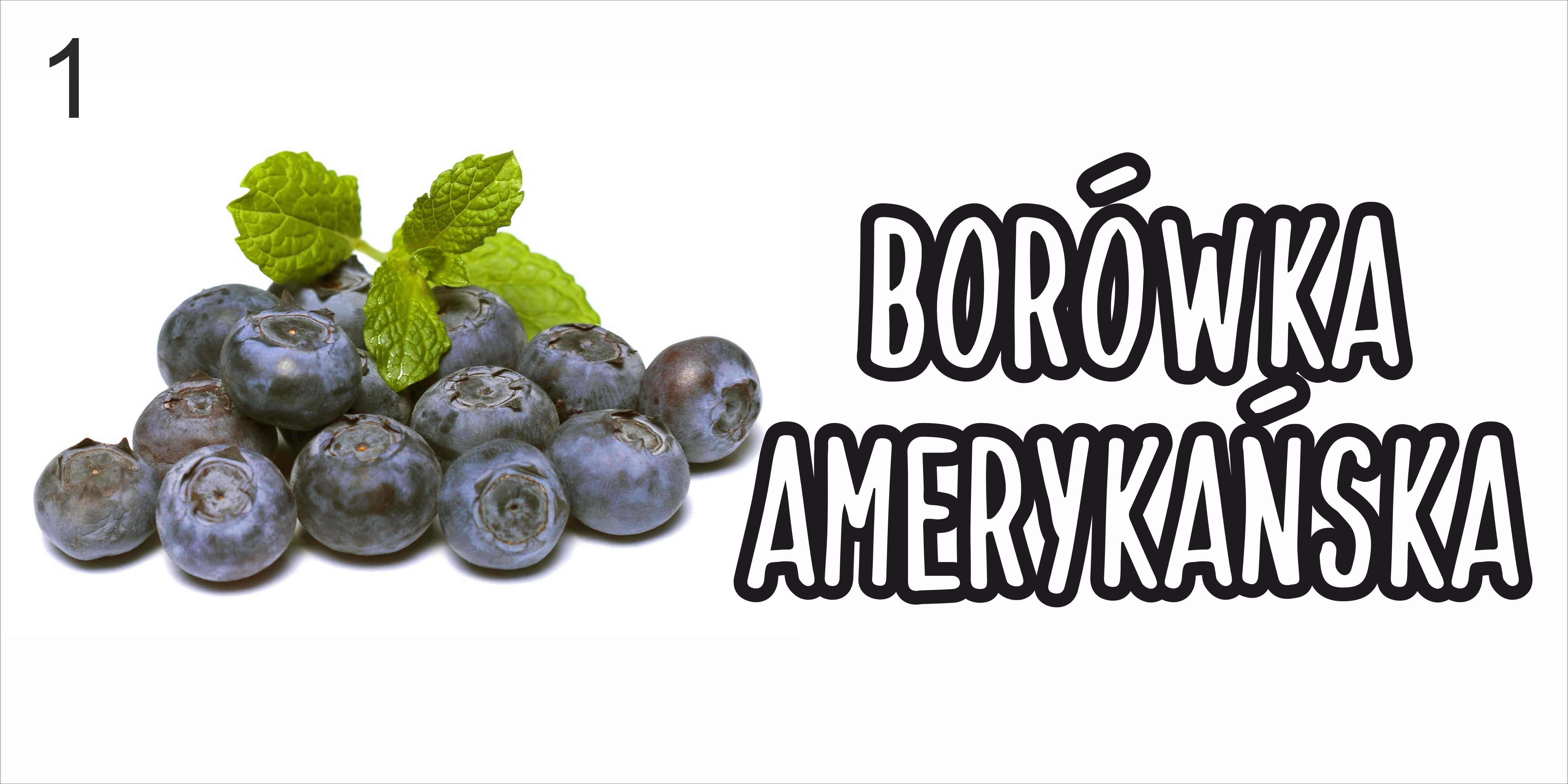 BORÓWKI borówka sprzedam gotowe wzory banerów 2x1