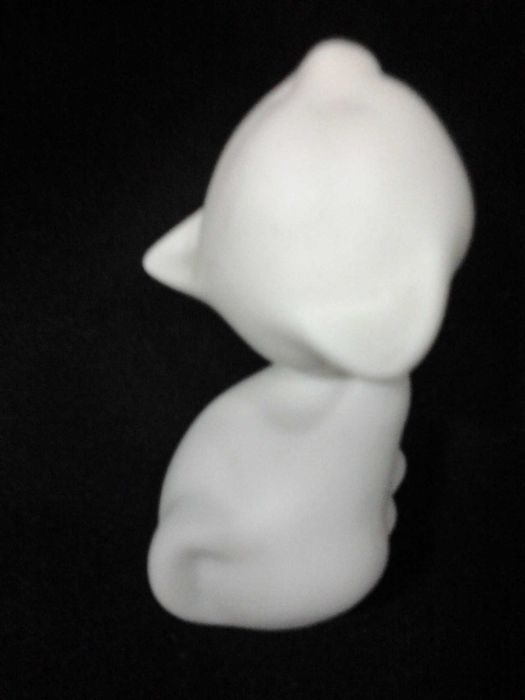 Artibus - Gato em excelente estado