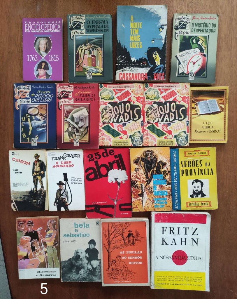 Lote de Livros antigos e recentes