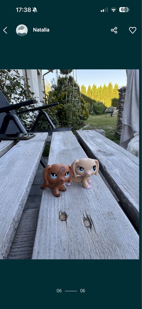 Littlest pet shop LPS