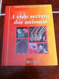 A vida secreta dos animais NOVO