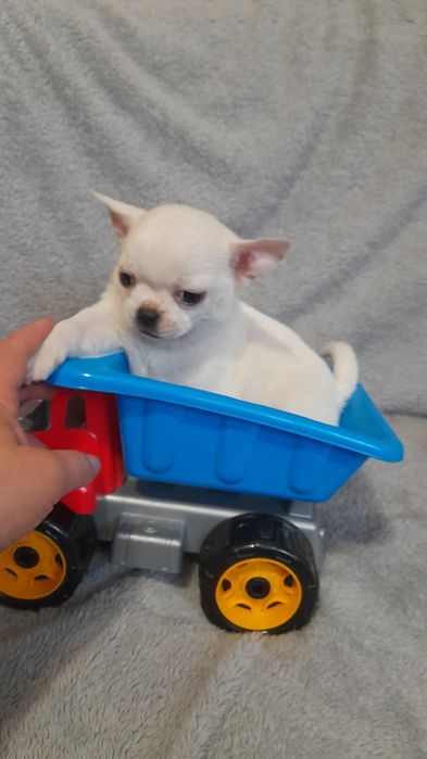 Щастя таки існує